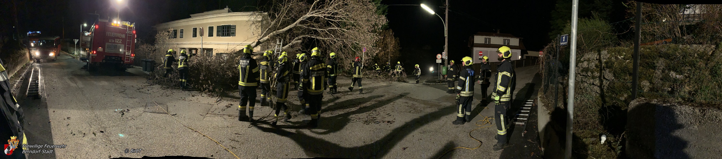 FFBDF 2020 02 23 Sturm Nr03 020 BirbT